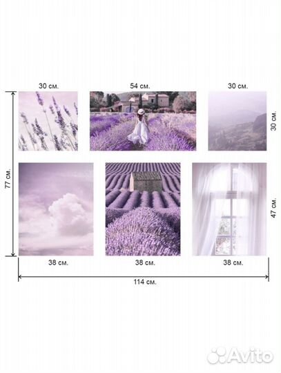 Фотокартина,лиловый цвет