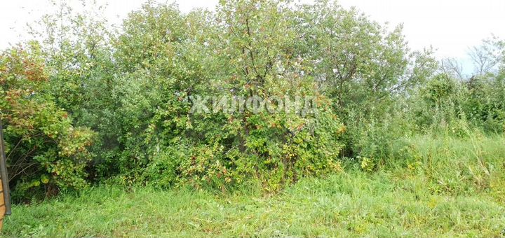 Участок 6,9 сот. (СНТ, ДНП)