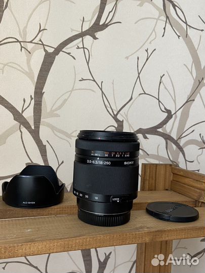 Объектив Sony a 18-250 mm f/3.5-6.3
