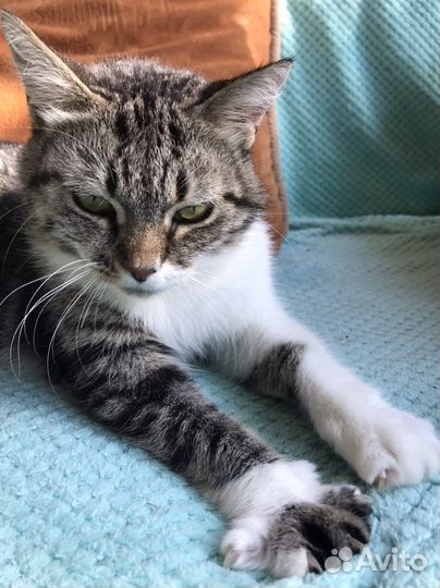 Плюшечка Тина