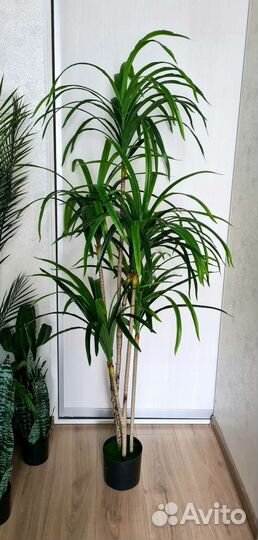 Драцена, искусственное дерево