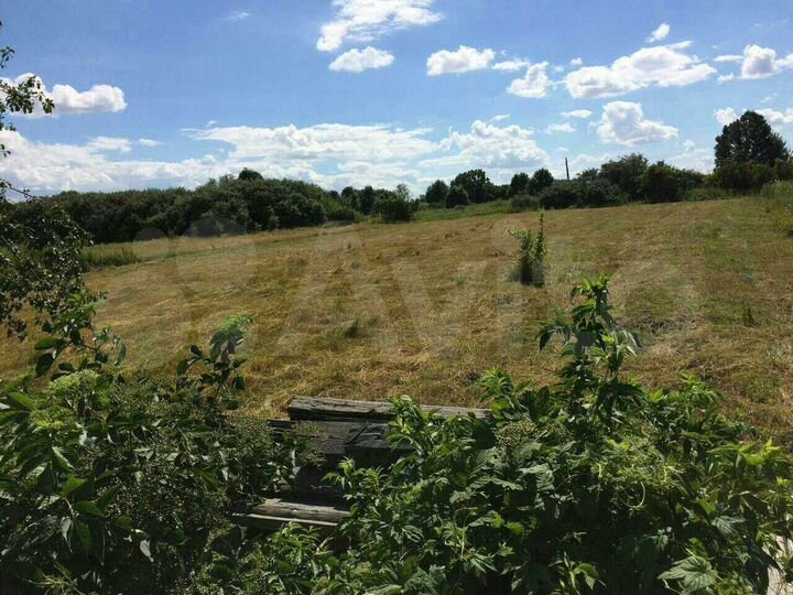 Участок 50 сот. (ИЖС)