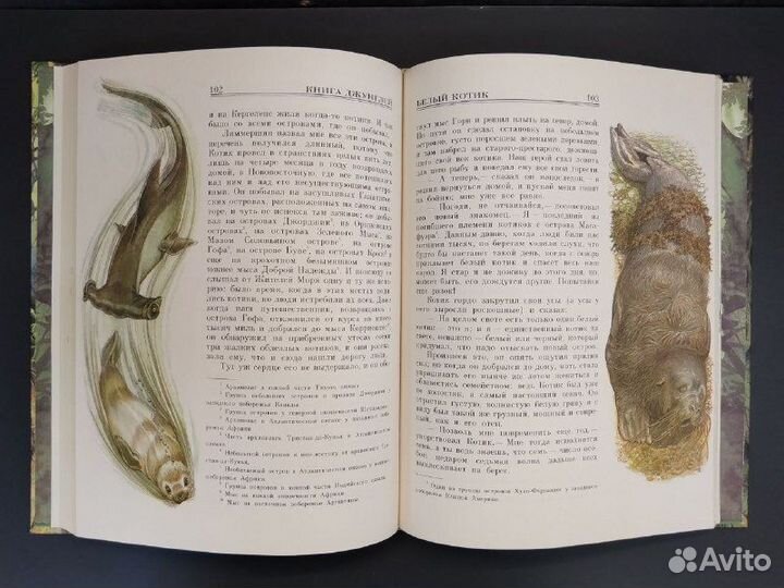 Р. Киплинг.Книга Джунглей.1994