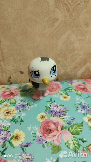 Редкая Игрушка лпс сорока