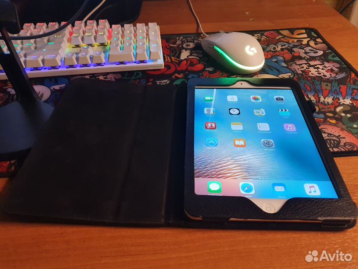iPad mini