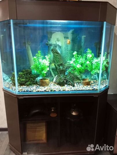 Аквариум 250 л