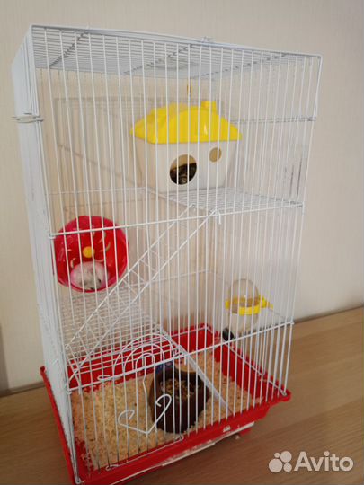 Джунгарский хомяк девочки комплект набор корм шар