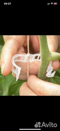 Клипса для подвязки растений