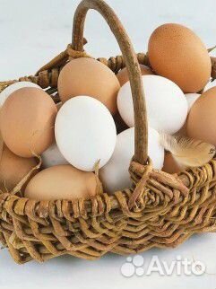 Домашние куриные яйца