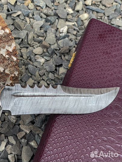Кизлярские ножи хищник
