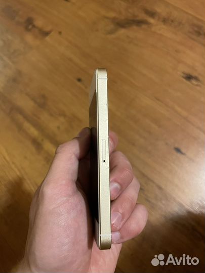 iPhone SE