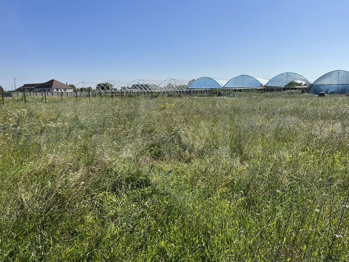 Участок 12,5 сот. (ИЖС)