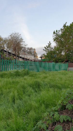 Участок 7 сот. (ИЖС)