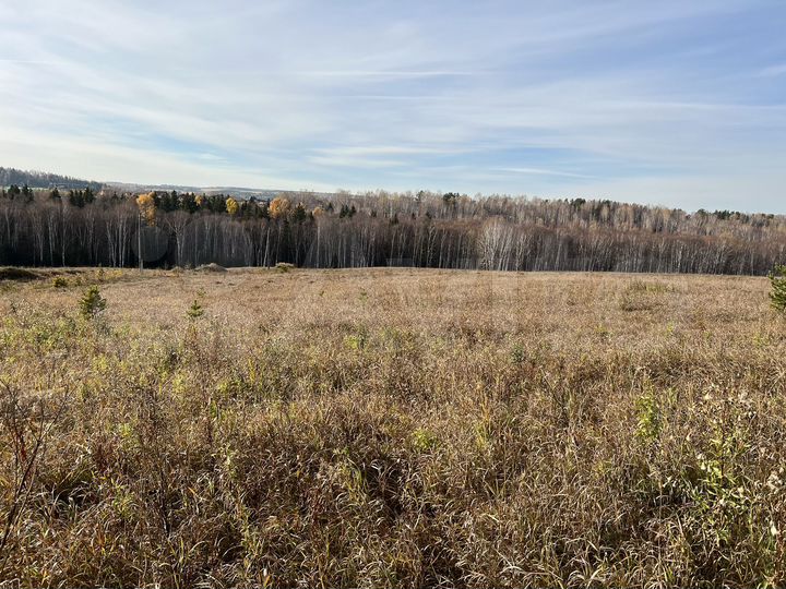 Участок 96 сот. (ИЖС)