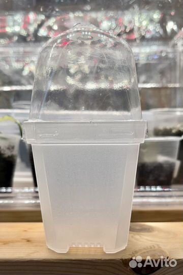 Мини-тепличка/ стакан-тепличка