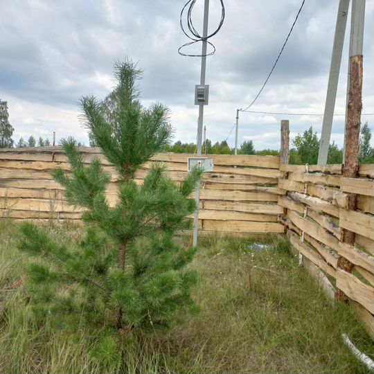 Участок 11 сот. (ИЖС)