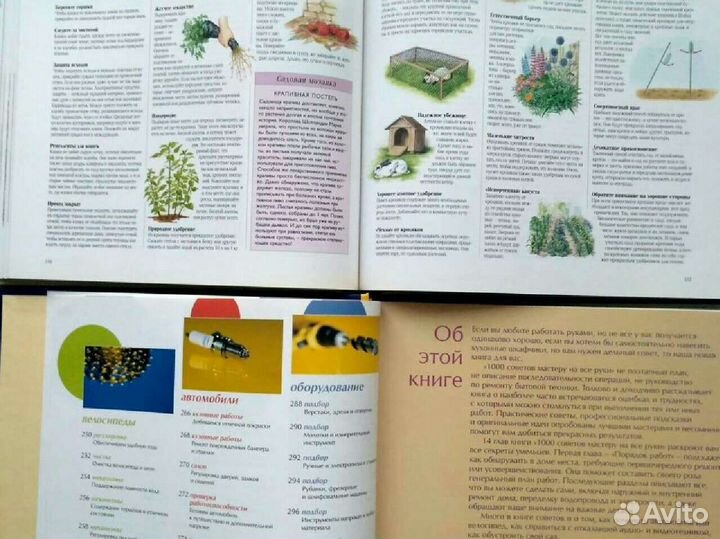 1000 советов и идей для вашего сада