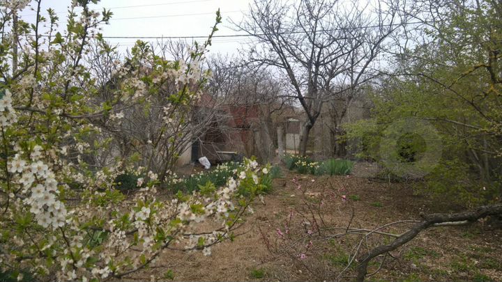 Участок 4,1 сот. (СНТ, ДНП)