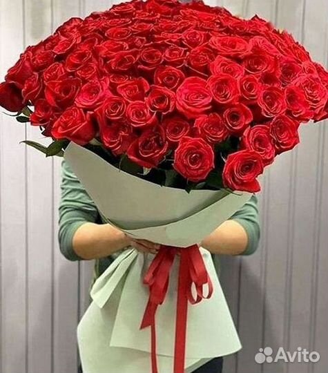 Высокие розы