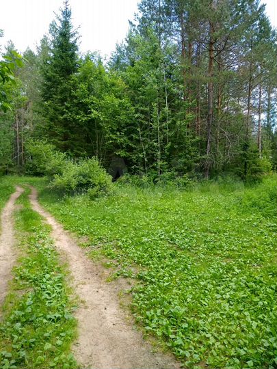 Участок 9 сот. (ИЖС)