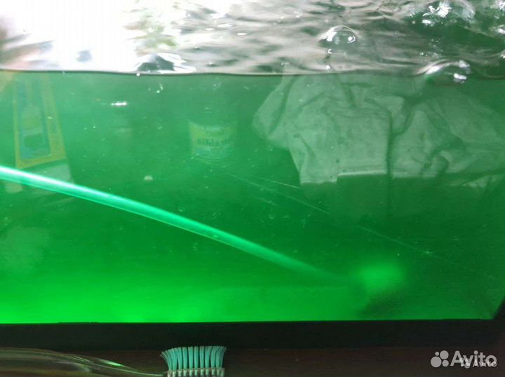 Живые корма для рыб