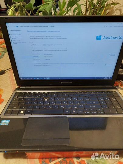 Ноутбук packard bell