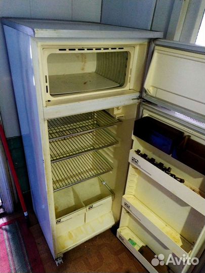 Холодильник бирюса 21