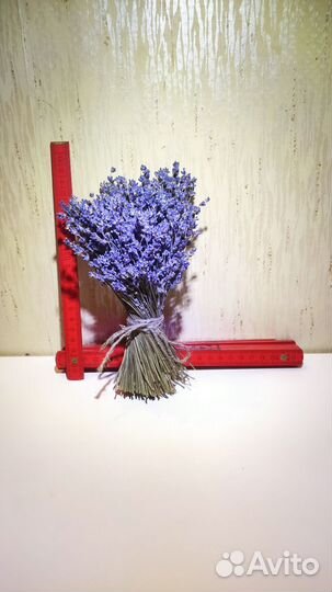 Лаванда сухоцвет