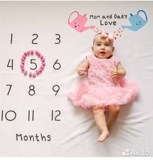 Фотоплед для фотосессии