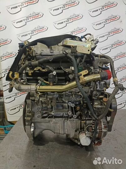 Двигатель nissan VQ25-DD cedric gloria MY34 заслон