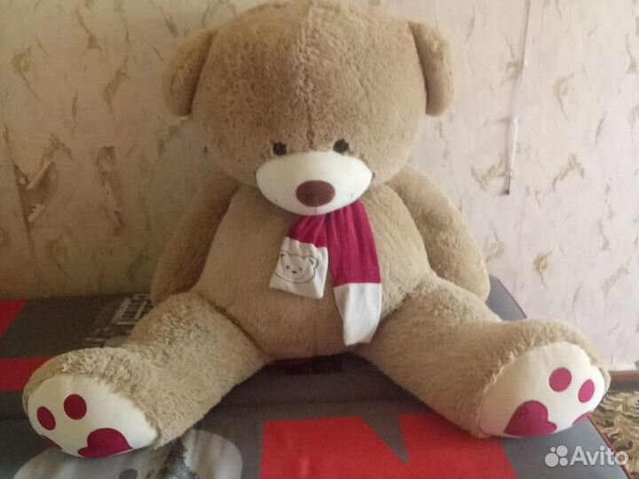 Плюшевый медведь