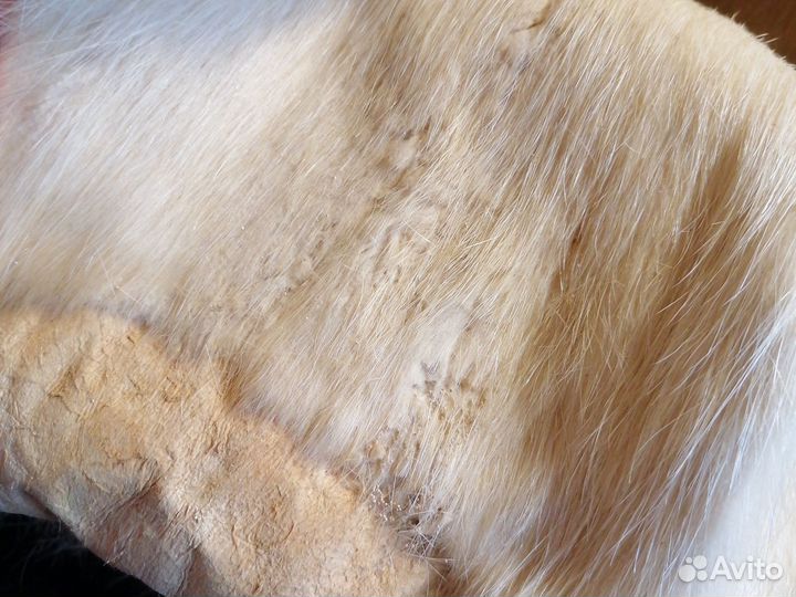 Шкурки нутрий на поделки