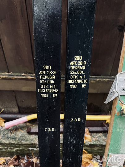 Горные лыжи