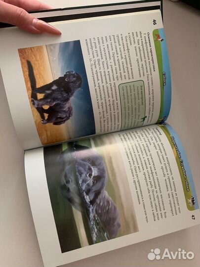 Книги про собак