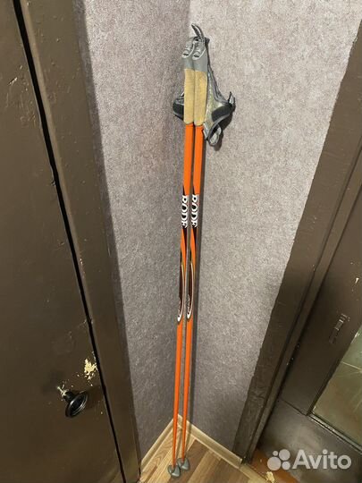 Беговые лыжи