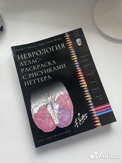 Анатомия Неттера: атлас-раскраска