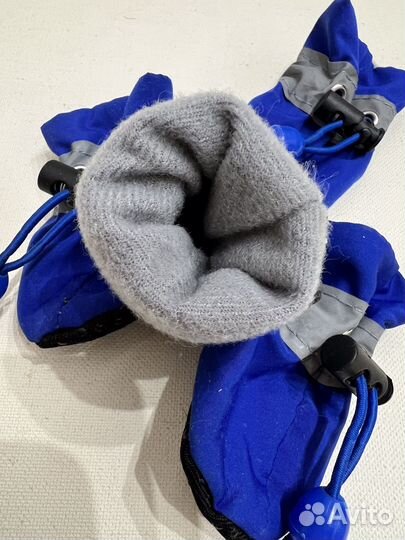 Ботинки для собак