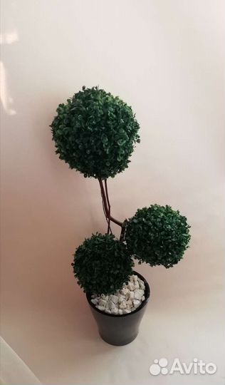 Шар самшитовый, высота30, 50,40 см