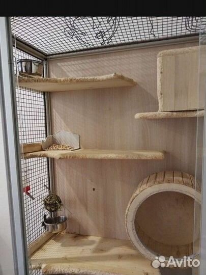 Витрина для шиншилл бу