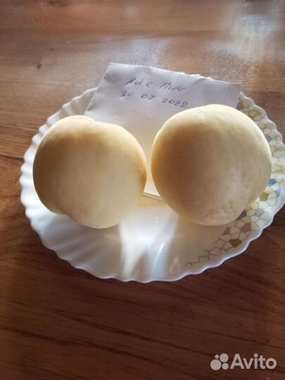 Черенки персика Айс пич