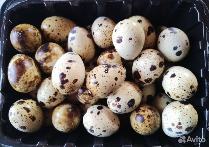 Яйцо перепелиное 20 шт, грибы маринованные