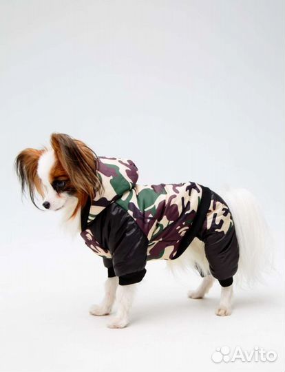 Комбинезон для собак мелких пород
