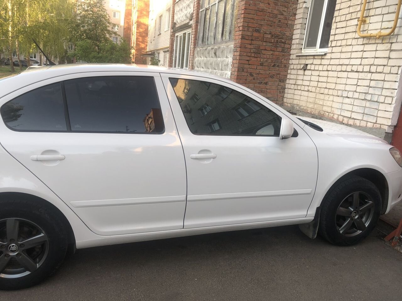 Skoda Octavia: фото владельца