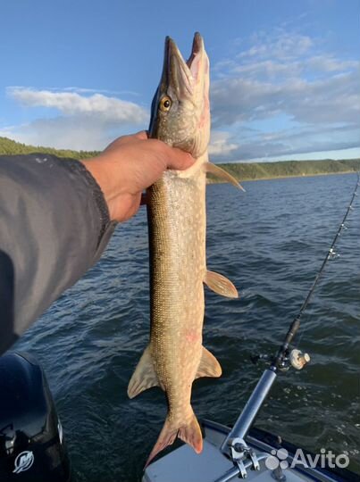 Аренда катера с капитаном