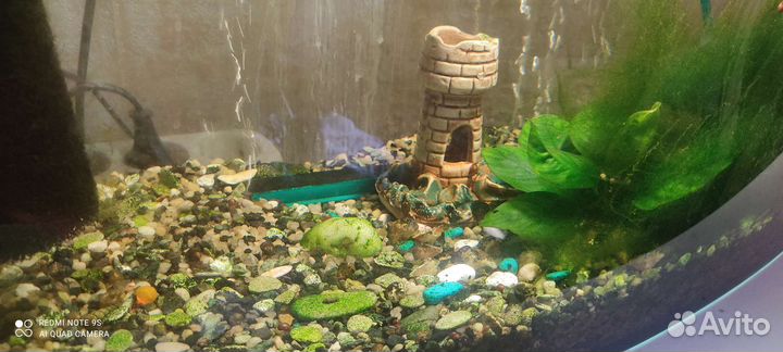 Аквариум