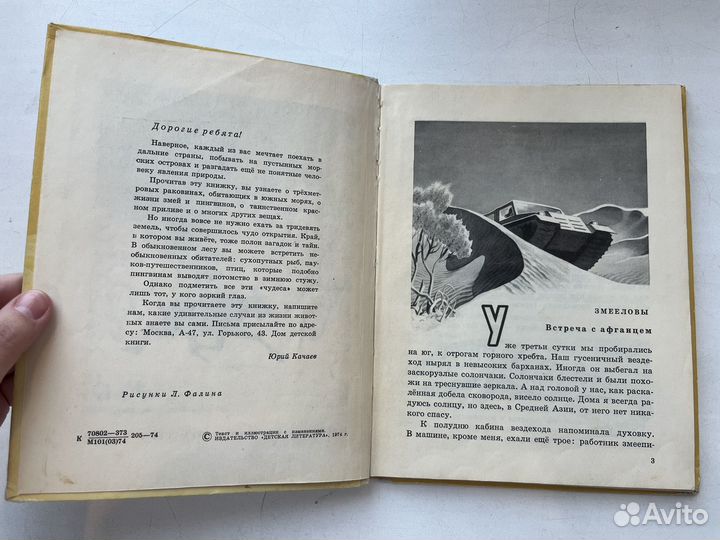 Ю.Качаев. В белом-белом феврале