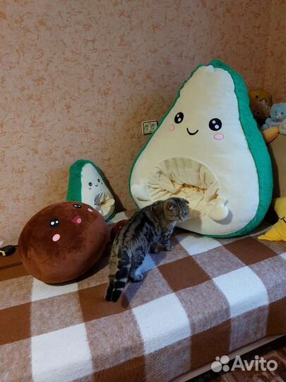 Мягкая игрушка, Авокадо Гигант