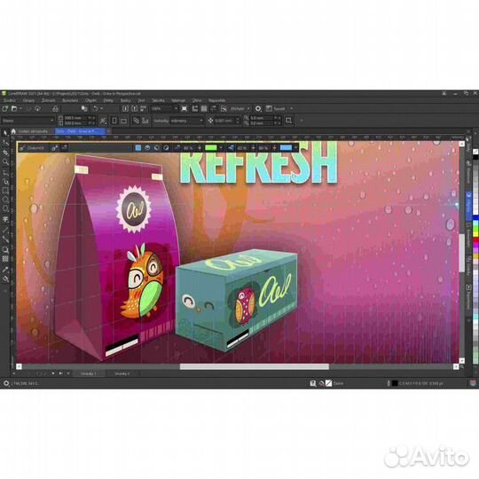 CorelDraw Graphic Suite 2023 1 год