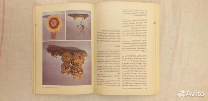 В.Хазенбанк *Сделай сам*