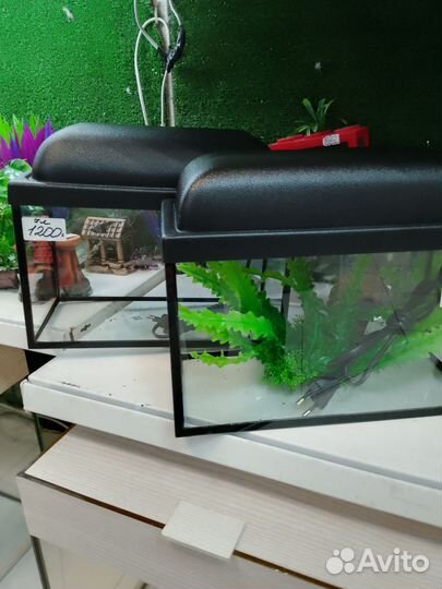 Аквариум